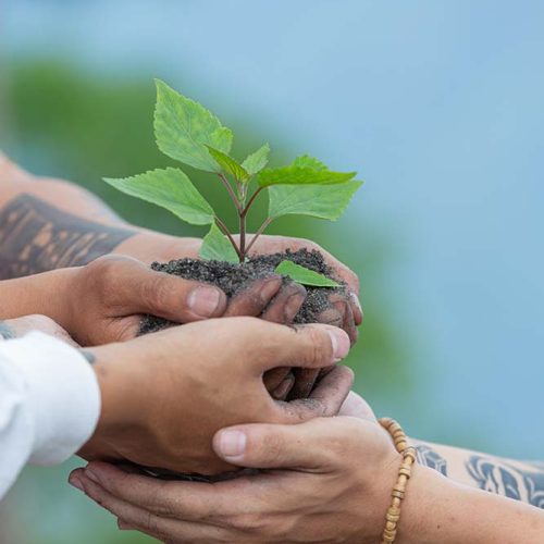 ENVIRONNEMENT DÉVELOPPEMENT DURABLE